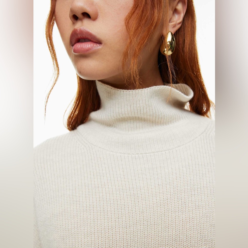 NWOTS Babaton Maclean Oversized merino wool turtleneck sweater dress - Picture 3 of 15
